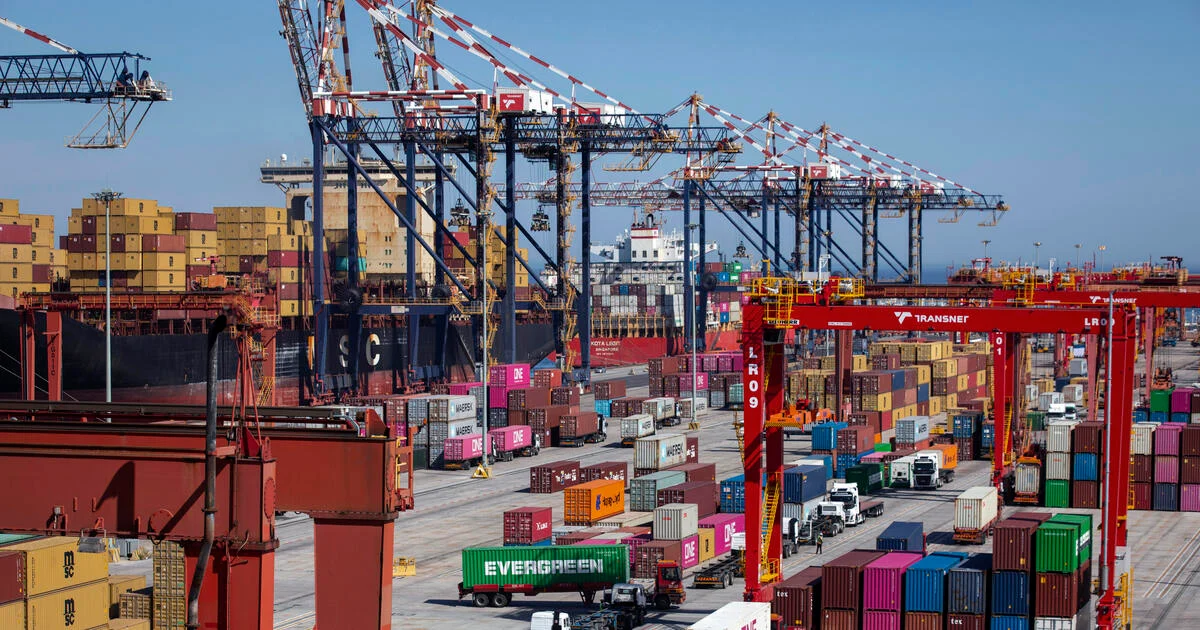Container ships berthed at a container terminal